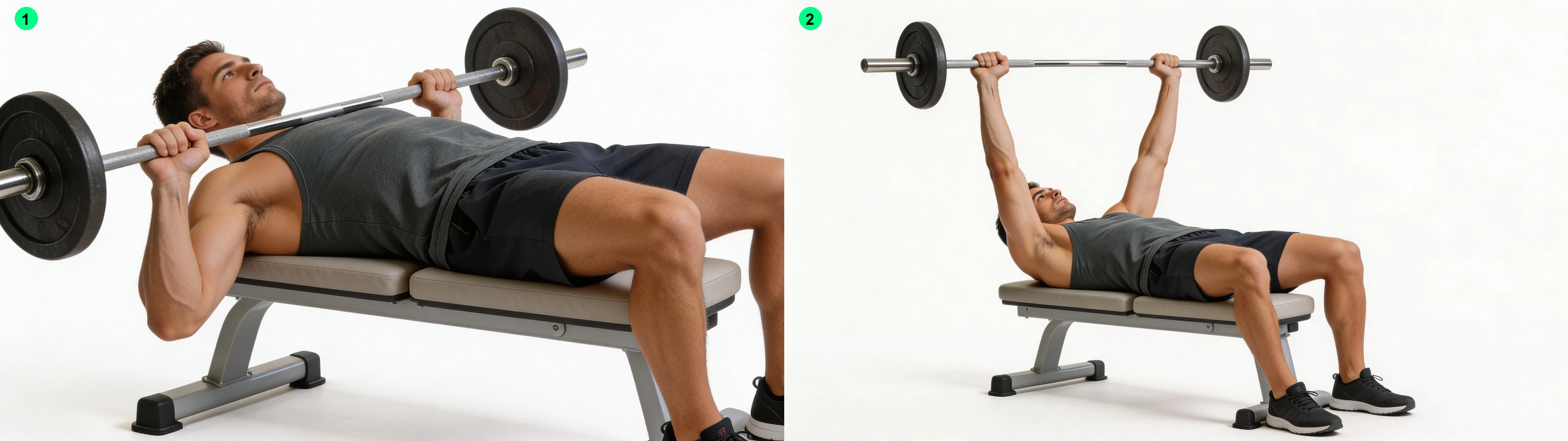 Developpe couche : position haute et position basse